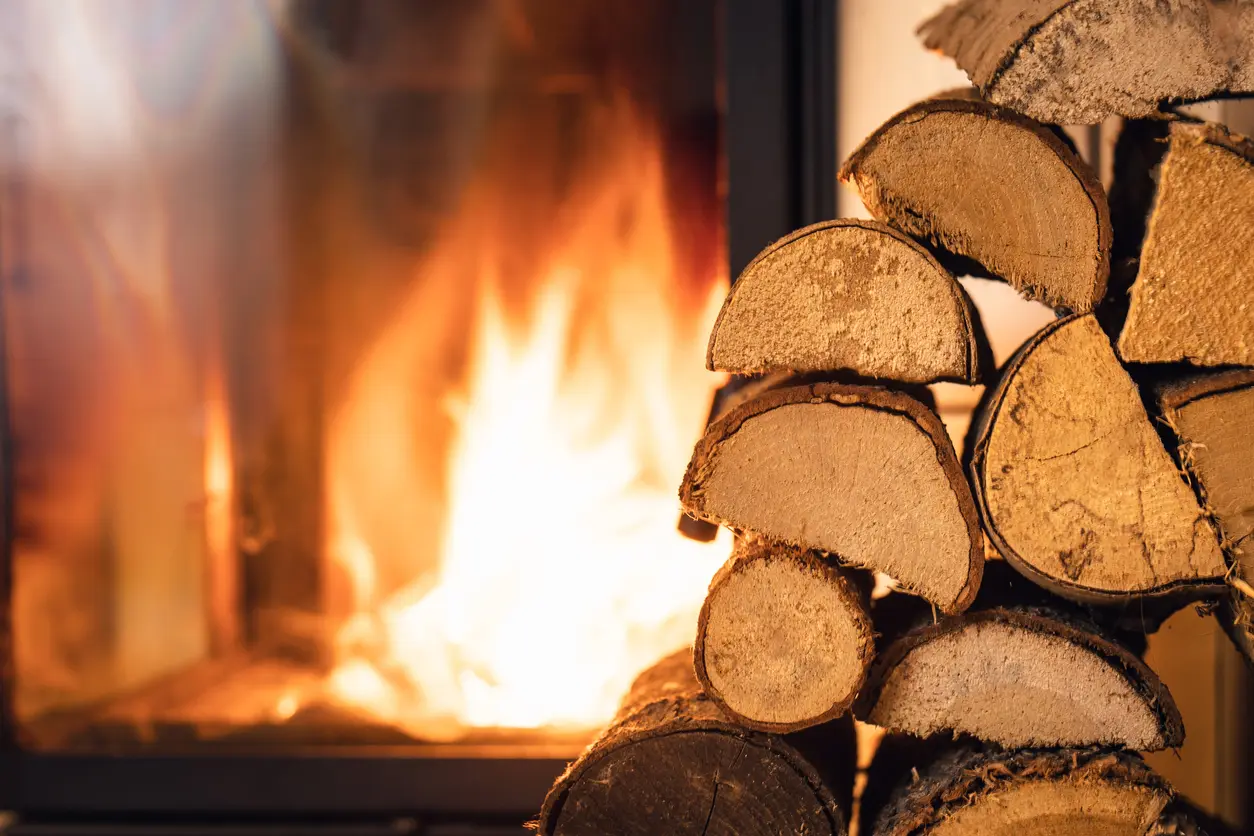 feu émanant d'un poêle à bois avec un tas de bûche sur le côté.